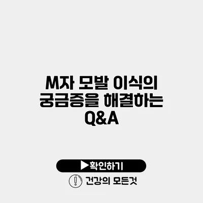 M자 모발 이식의 궁금증을 해결하는 Q&A