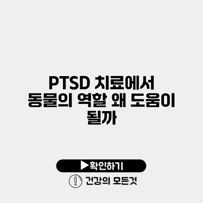 PTSD 치료에서 동물의 역할 왜 도움이 될까?