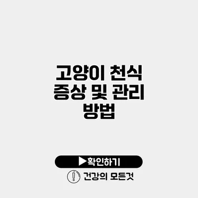고양이 천식 증상 및 관리 방법
