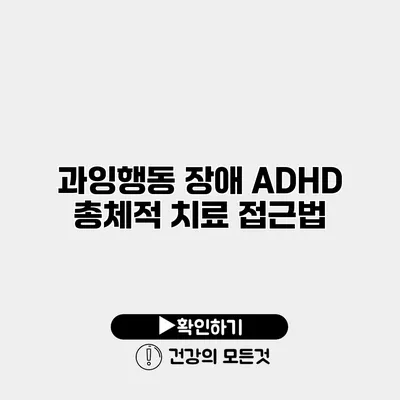 과잉행동 장애 ADHD 총체적 치료 접근법