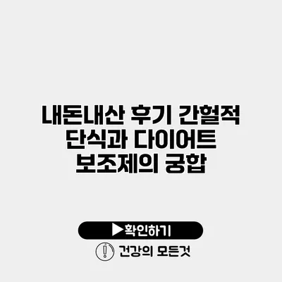 내돈내산 후기 간헐적 단식과 다이어트 보조제의 궁합