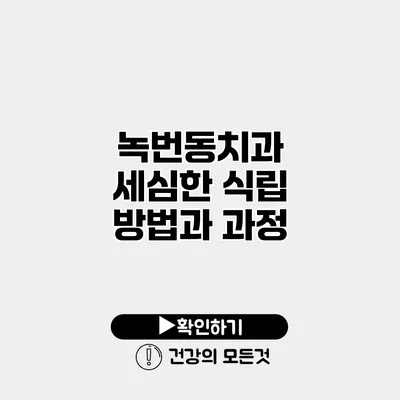 녹번동치과 세심한 식립 방법과 과정
