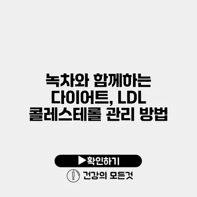 녹차와 함께하는 다이어트, LDL 콜레스테롤 관리 방법