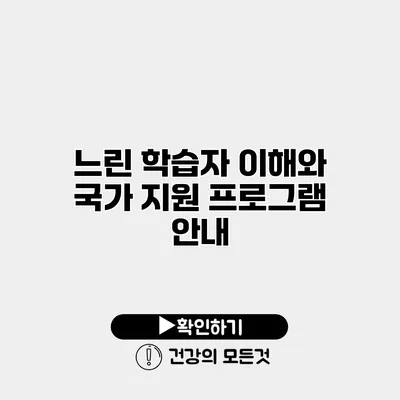 느린 학습자 이해와 국가 지원 프로그램 안내