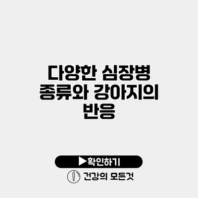 다양한 심장병 종류와 강아지의 반응