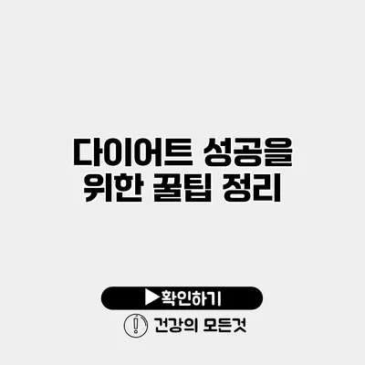 다이어트 성공을 위한 꿀팁 정리