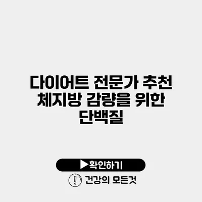 다이어트 전문가 추천 체지방 감량을 위한 단백질