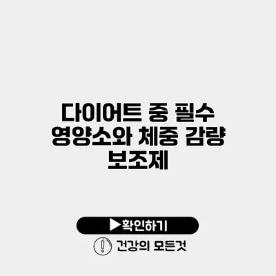 다이어트 중 필수 영양소와 체중 감량 보조제