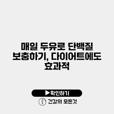 매일 두유로 단백질 보충하기, 다이어트에도 효과적