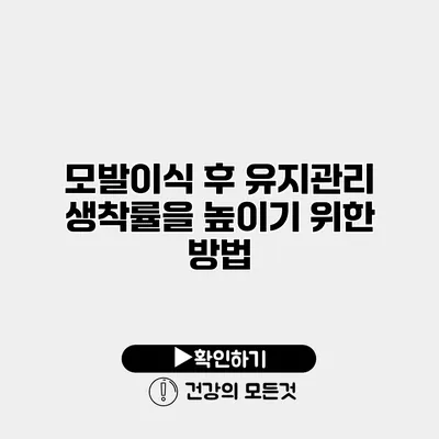 모발이식 후 유지관리 생착률을 높이기 위한 방법