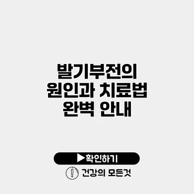 발기부전의 원인과 치료법 완벽 안내