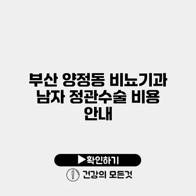 부산 양정동 비뇨기과 남자 정관수술 비용 안내
