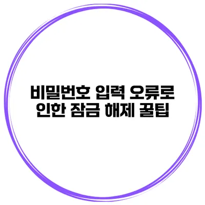 비밀번호 입력 오류로 인한 잠금 해제 꿀팁