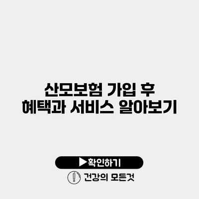 산모보험 가입 후 혜택과 서비스 알아보기