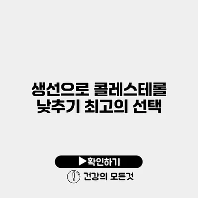 생선으로 콜레스테롤 낮추기 최고의 선택