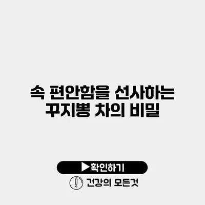 속 편안함을 선사하는 꾸지뽕 차의 비밀