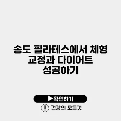 송도 필라테스에서 체형 교정과 다이어트 성공하기