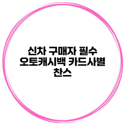 신차 구매자 필수 오토캐시백 카드사별 찬스