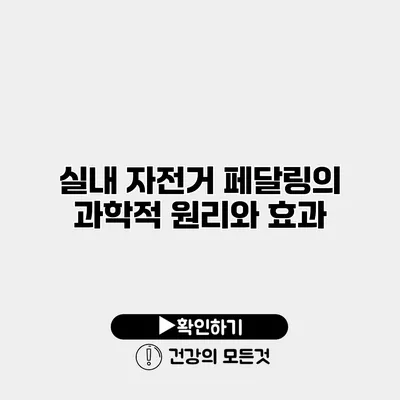 실내 자전거 페달링의 과학적 원리와 효과