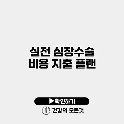 실전 심장수술 비용 지출 플랜