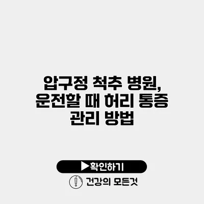 압구정 척추 병원, 운전할 때 허리 통증 관리 방법