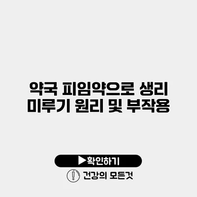 약국 피임약으로 생리 미루기 원리 및 부작용