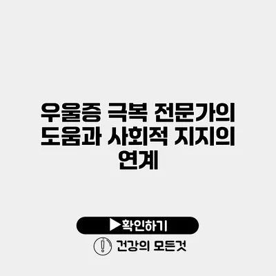우울증 극복 전문가의 도움과 사회적 지지의 연계