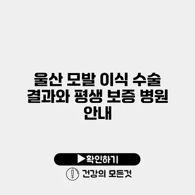 울산 모발 이식 수술 결과와 평생 보증 병원 안내