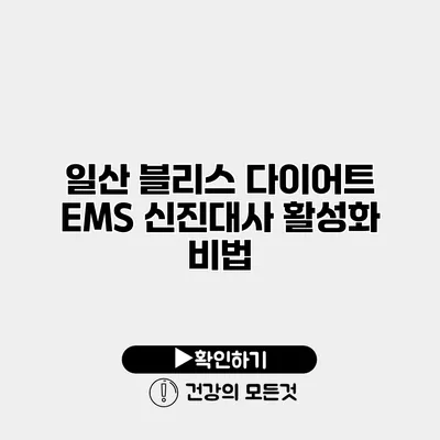 일산 블리스 다이어트 EMS 신진대사 활성화 비법