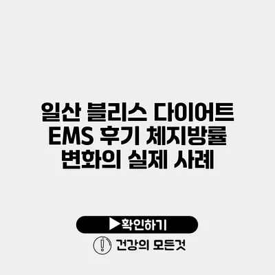일산 블리스 다이어트 EMS 후기 체지방률 변화의 실제 사례