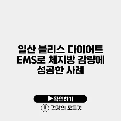 일산 블리스 다이어트 EMS로 체지방 감량에 성공한 사례
