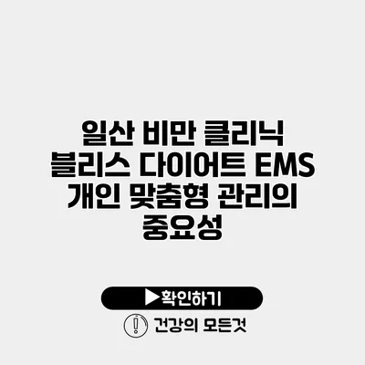 일산 비만 클리닉 블리스 다이어트 EMS 개인 맞춤형 관리의 중요성
