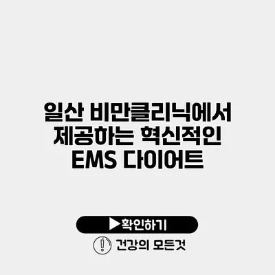 일산 비만클리닉에서 제공하는 혁신적인 EMS 다이어트