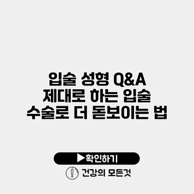 입술 성형 Q&A 제대로 하는 입술 수술로 더 돋보이는 법