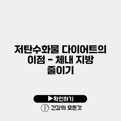 저탄수화물 다이어트의 이점 - 체내 지방 줄이기