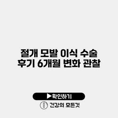 절개 모발 이식 수술 후기 6개월 변화 관찰