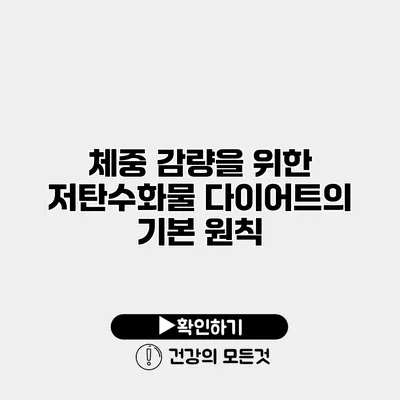 체중 감량을 위한 저탄수화물 다이어트의 기본 원칙