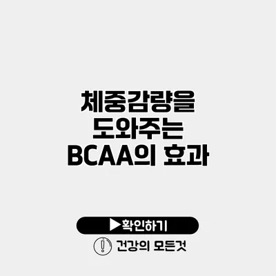 체중감량을 도와주는 BCAA의 효과
