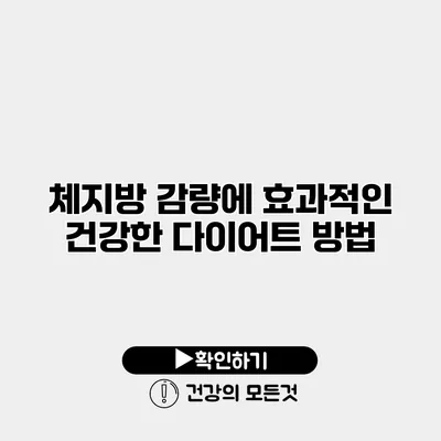 체지방 감량에 효과적인 건강한 다이어트 방법