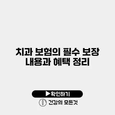 치과 보험의 필수 보장 내용과 혜택 정리