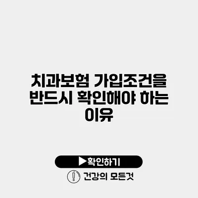 치과보험 가입조건을 반드시 확인해야 하는 이유