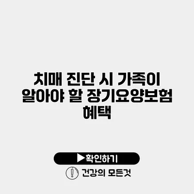 치매 진단 시 가족이 알아야 할 장기요양보험 혜택