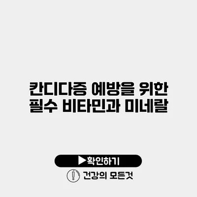 칸디다증 예방을 위한 필수 비타민과 미네랄