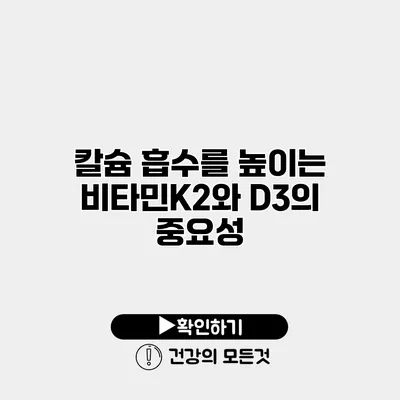 칼슘 흡수를 높이는 비타민K2와 D3의 중요성