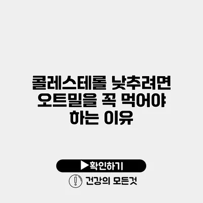 콜레스테롤 낮추려면 오트밀을 꼭 먹어야 하는 이유