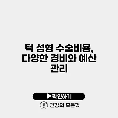 턱 성형 수술비용, 다양한 경비와 예산 관리