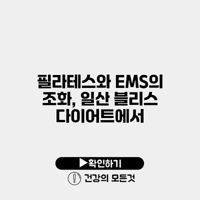 필라테스와 EMS의 조화, 일산 블리스 다이어트에서