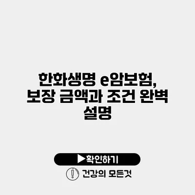 한화생명 e암보험, 보장 금액과 조건 완벽 설명