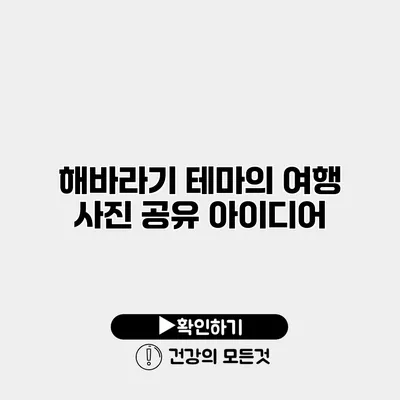 해바라기 테마의 여행 사진 공유 아이디어