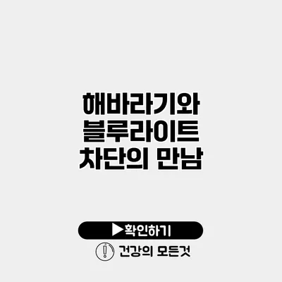 해바라기와 블루라이트 차단의 만남